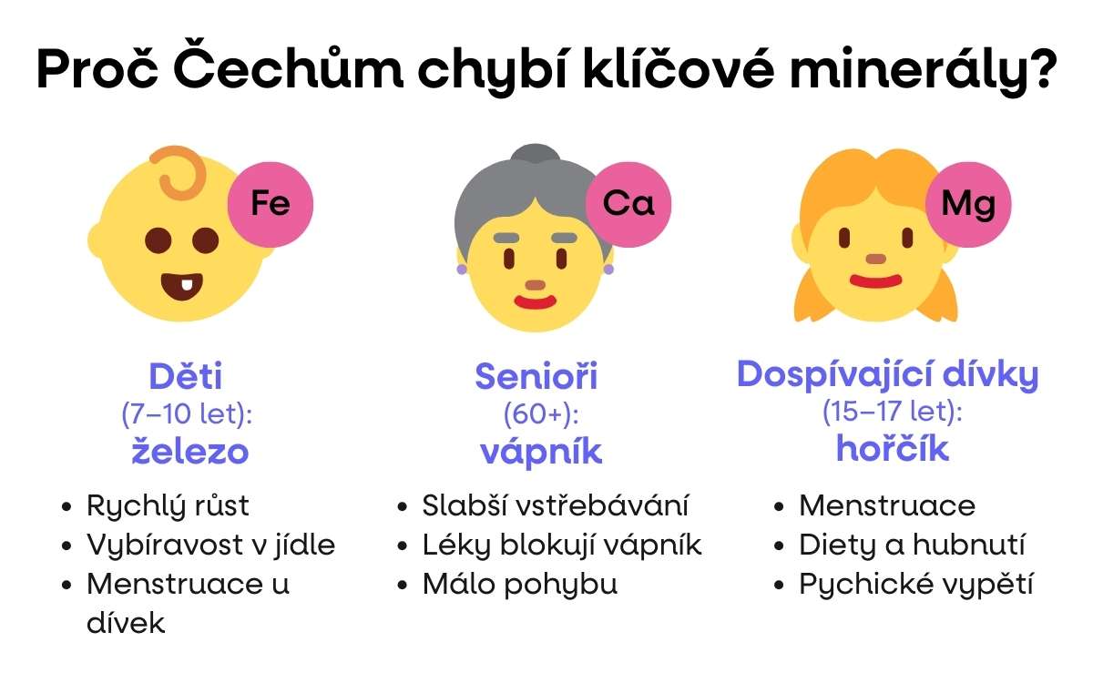 vapnik infografika